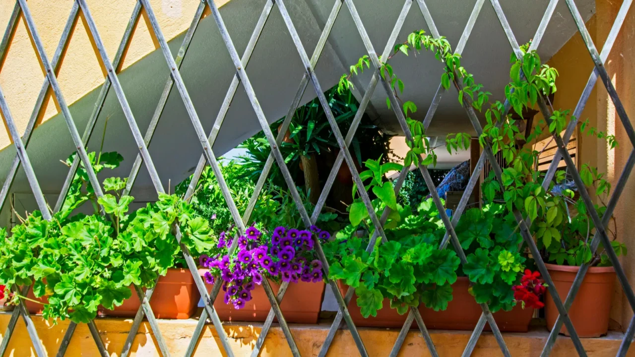 beautiful flowers in a niche under the stairs behind the