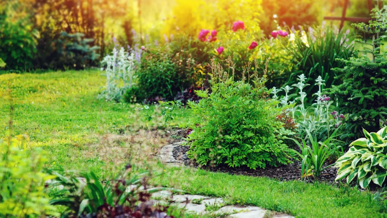 Beautiful summer cottage garden view with stone pathway and blooming.