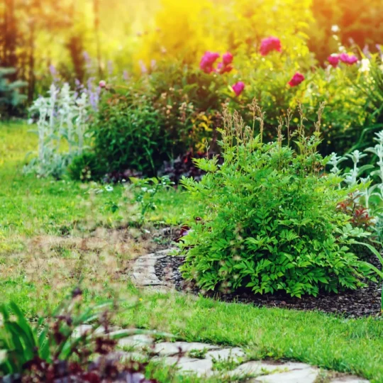 15 Secrets for Year-Round Garden Care