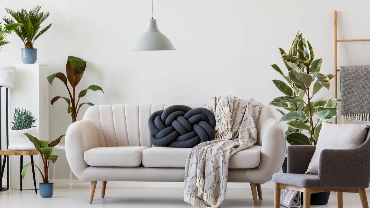 Bright living room interior with plants.