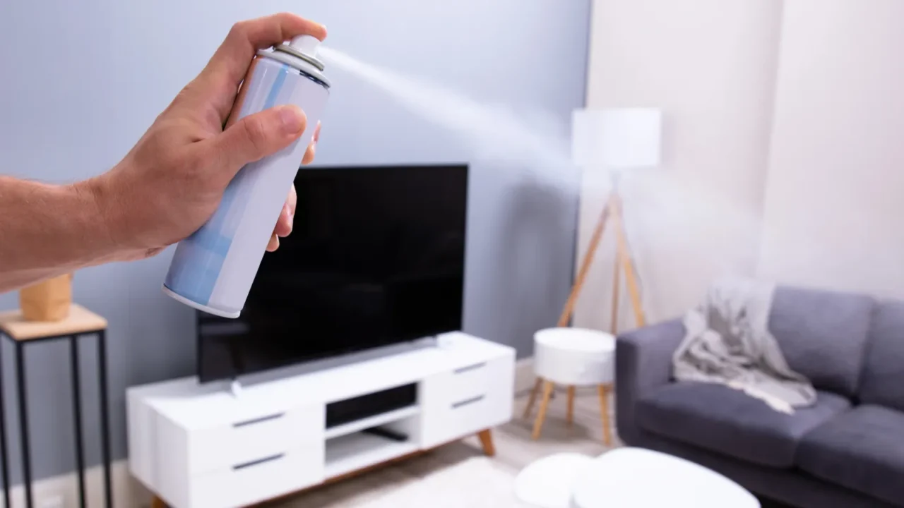 closeup of a persons hand spraying air freshener in living