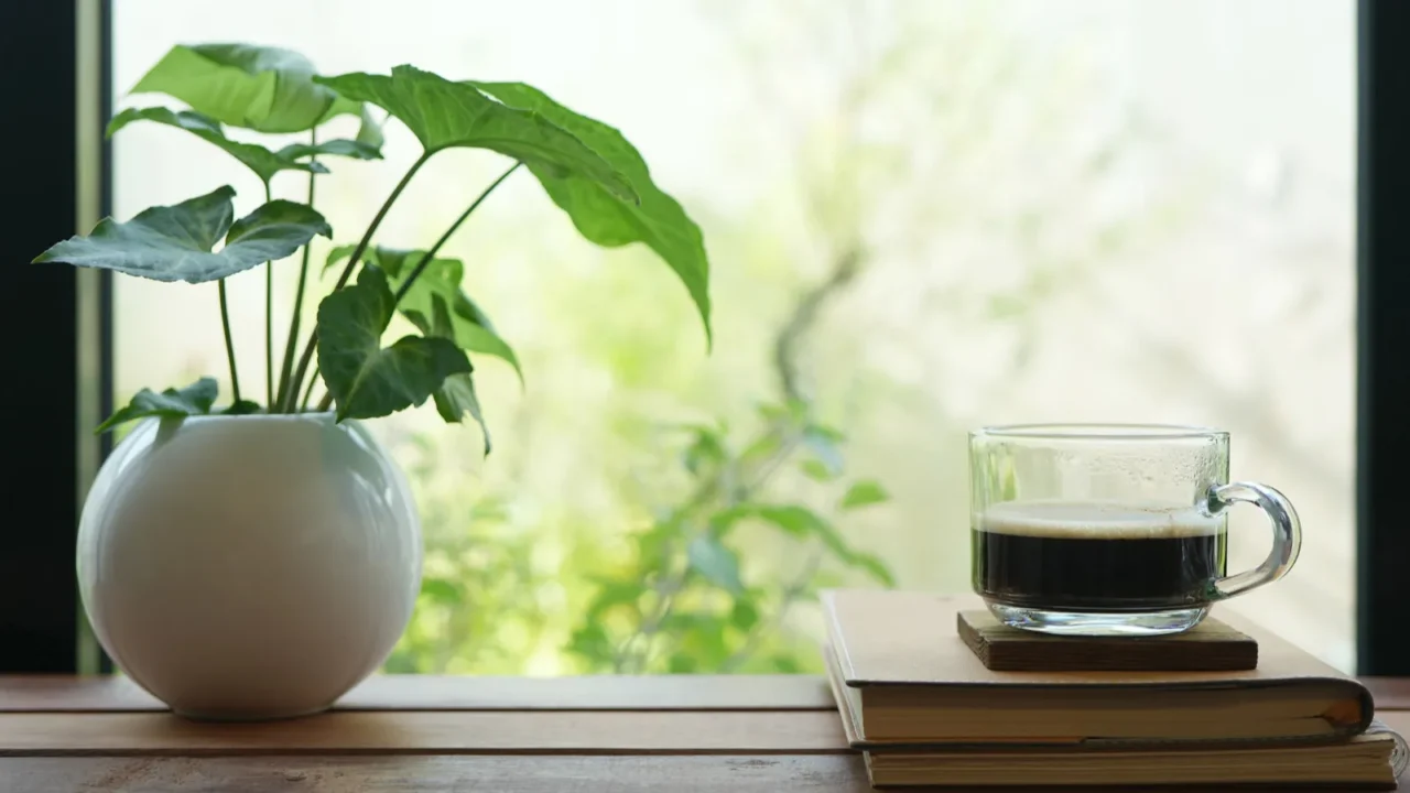 Coffee in a glass cup with a plant in white pot and a stack of books.