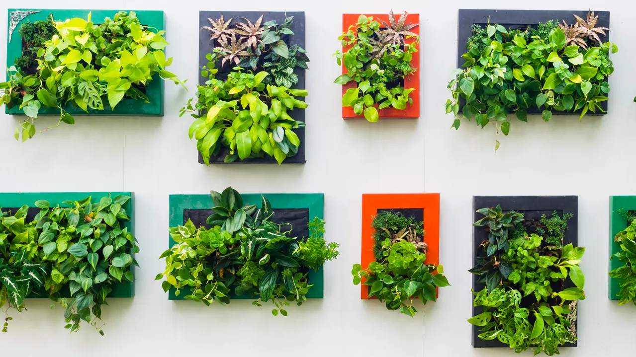 Wall decorated with vertical planting.