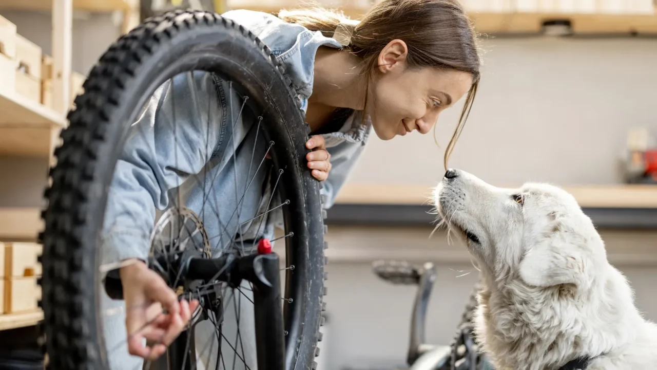 handywoman with dog reparing bicycle in the workshop