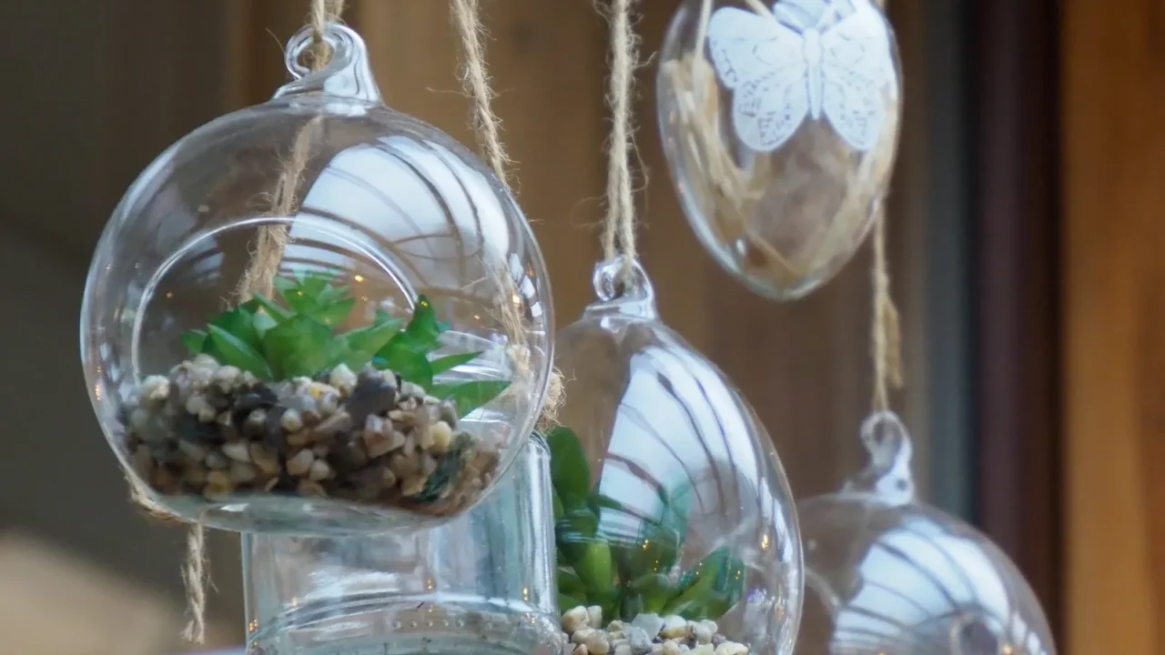 Hanging glass terrariums with plants and butterfly ornament.