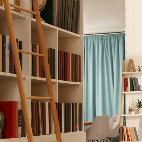 Is Bookshelf Wealth Trend Worth the Hype?