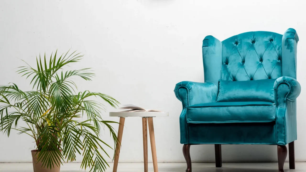 interior of room with elegant velour blue armchair near green plant and coffee table near white wall