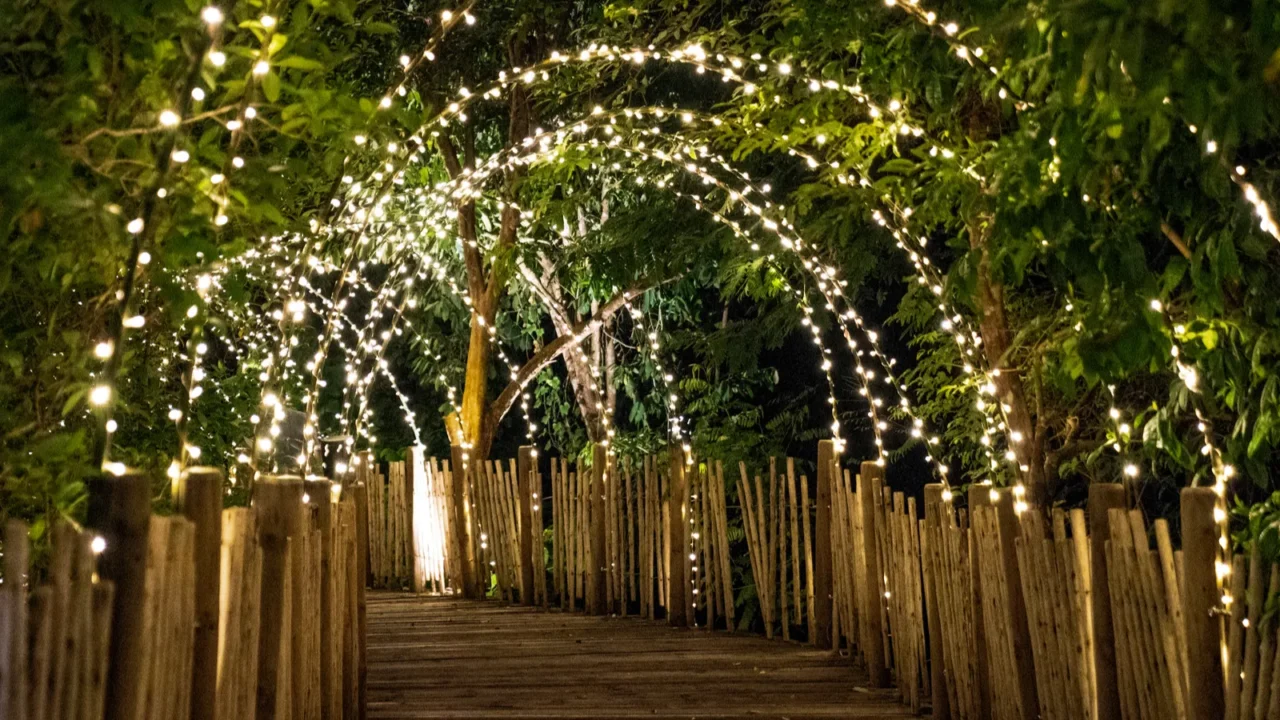 lighting line hang on to the tree decor on to