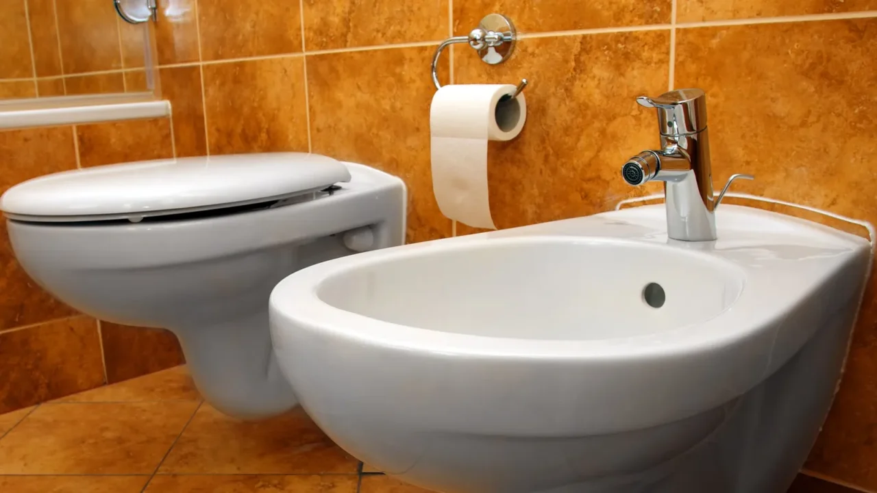 luxury watercloset and bidet