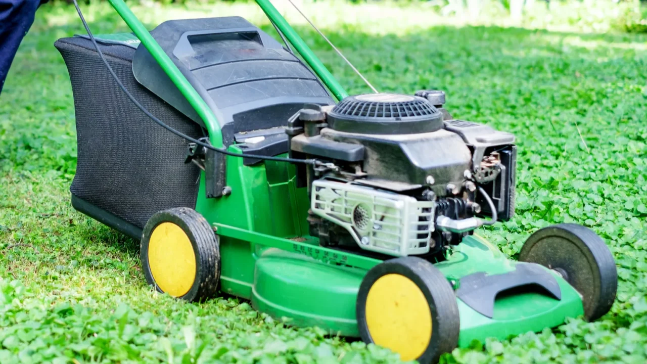 man portrait mowing the lawn with lawnmower