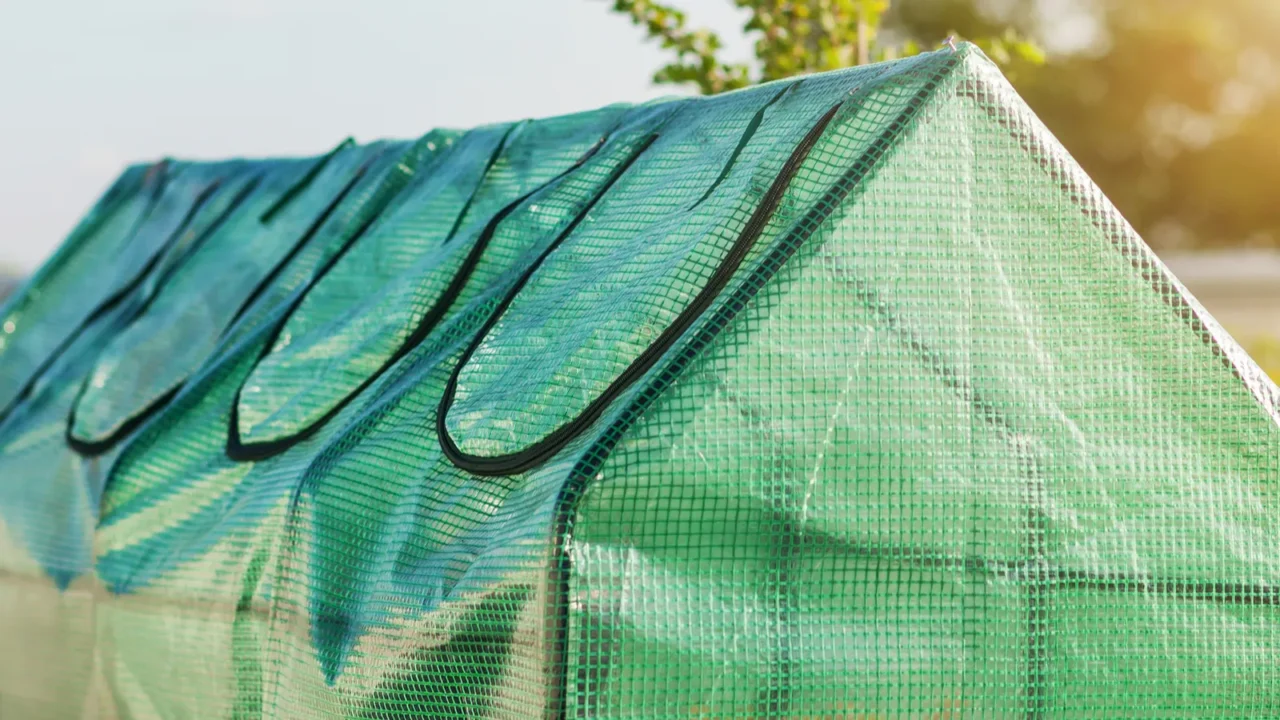 mini greenhouse from green polyethylene on raised bed modern garden