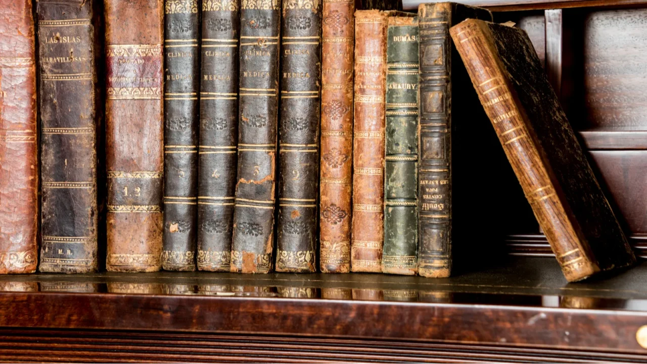 old books placed on wooden shelf