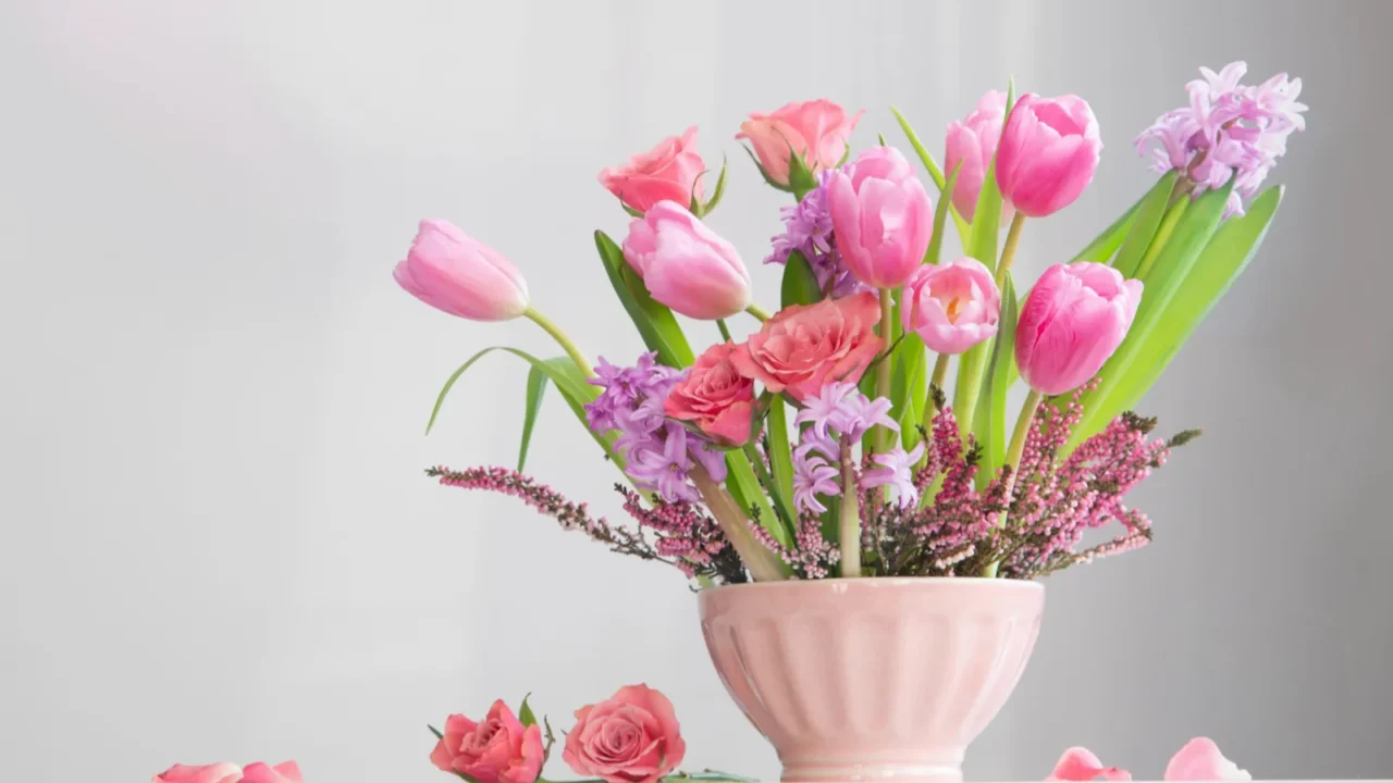 pink flowers in vase on background white wall