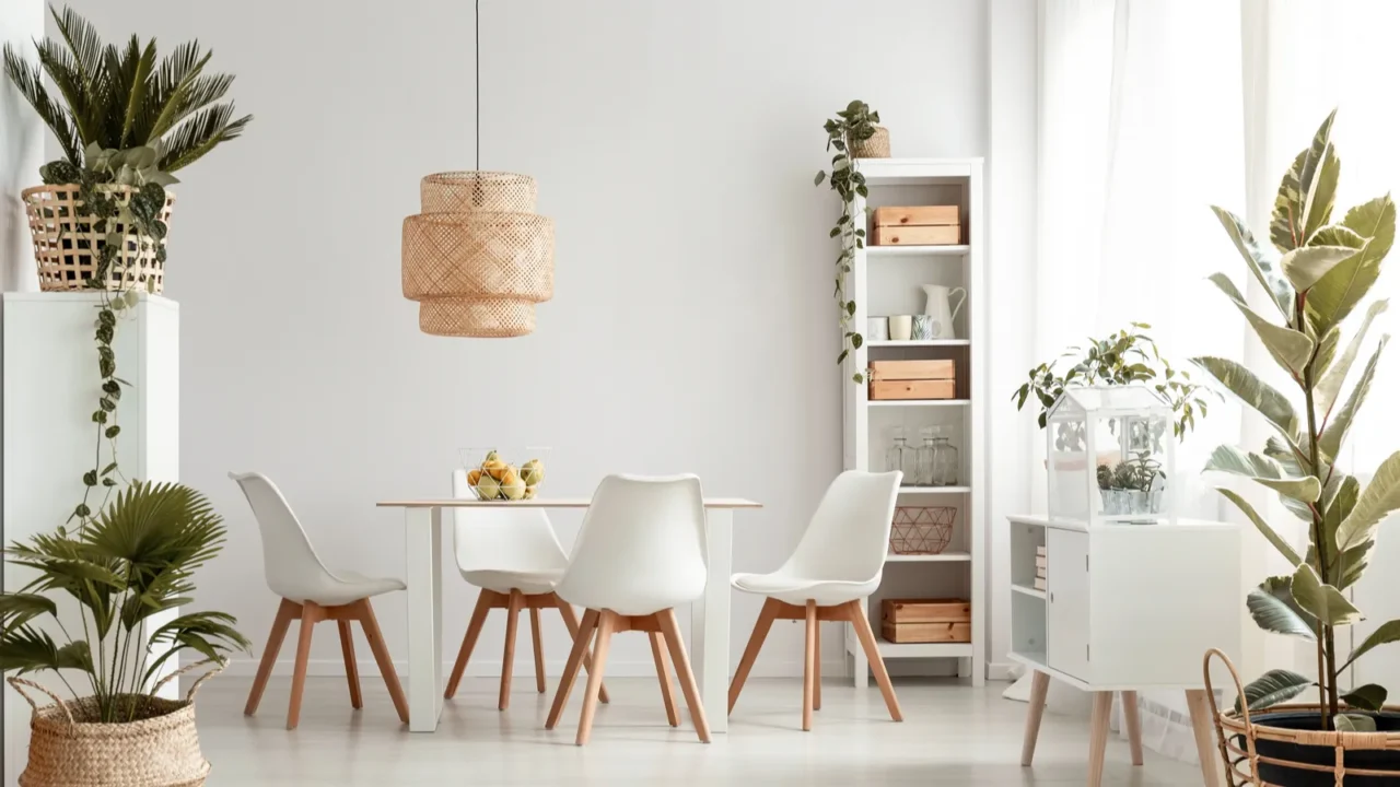 White apartment interior with plants everywhere. Plants placed on floor, shelf, table,