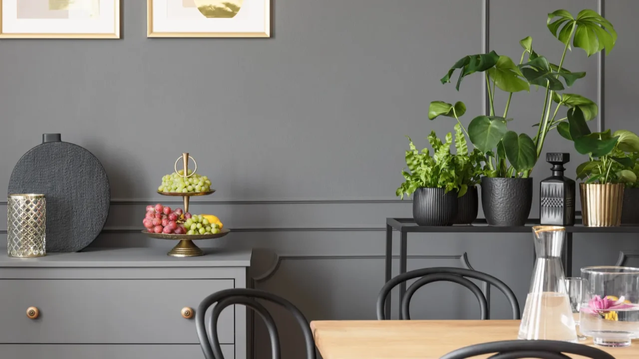 Frames above grey cabinet in dark dining room interior with plants.