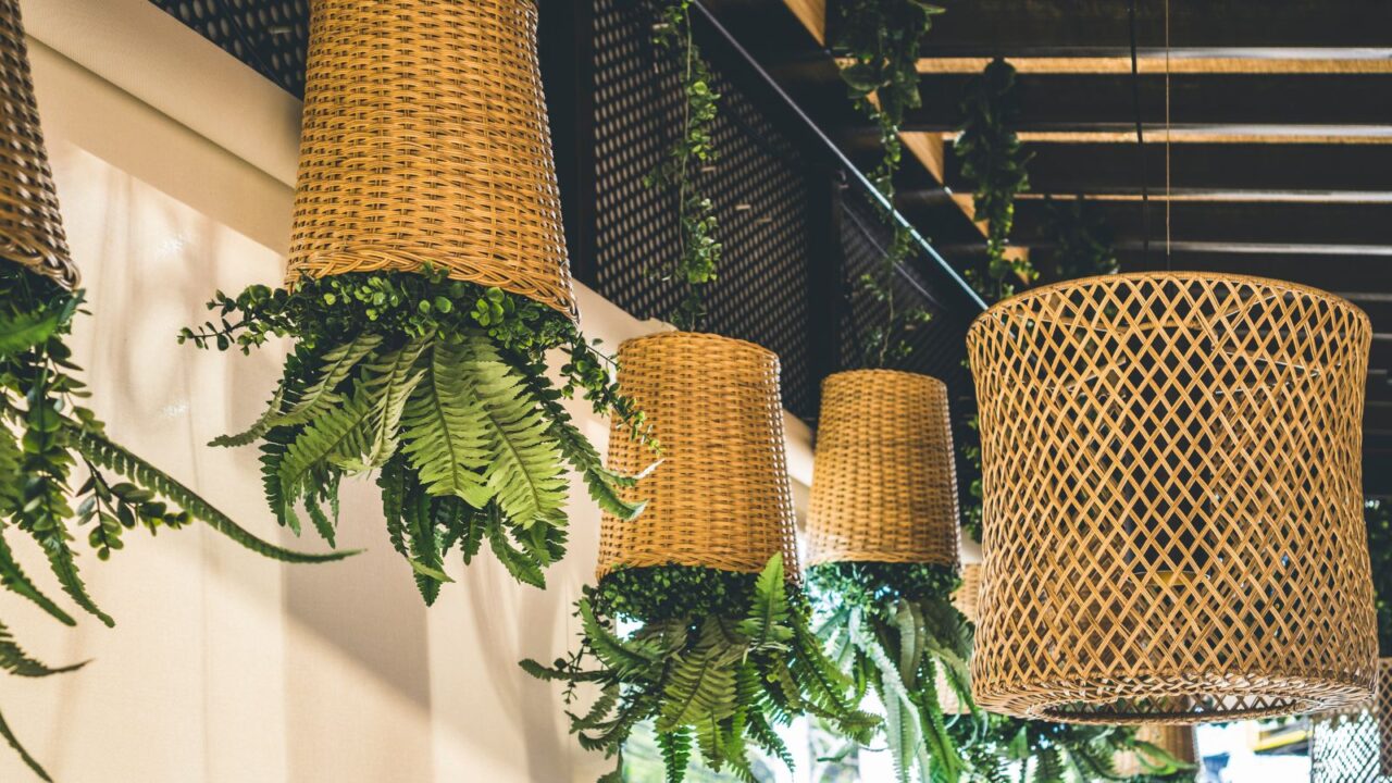 Potted ferns in the bamboo weaved baskets or planters hanging upside down.