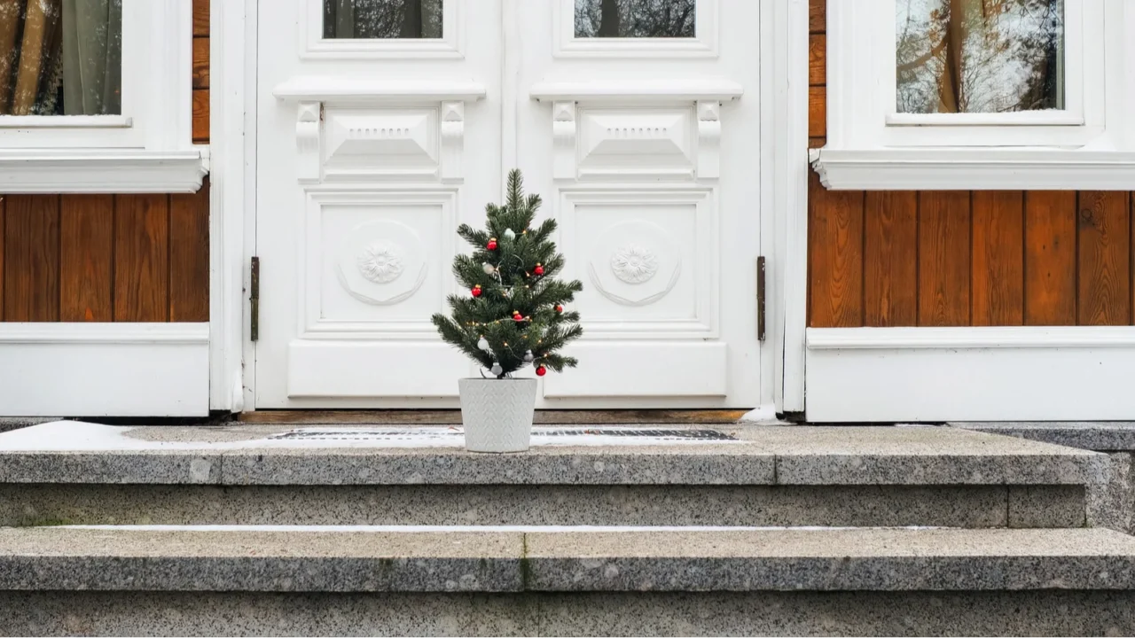 small christmas fir tree on steps