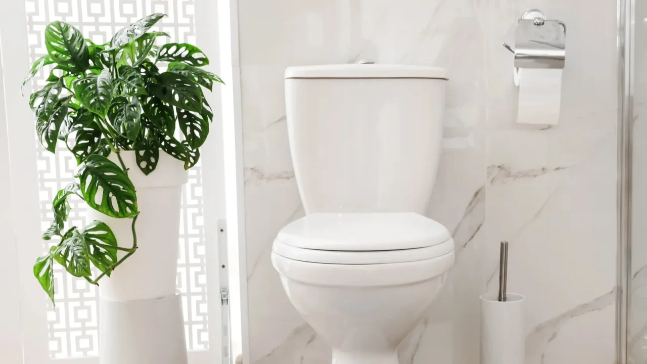 toilet bowl near shower stall in modern bathroom