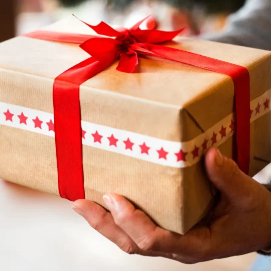 Holiday Gift Ideas for Home Enthusiasts