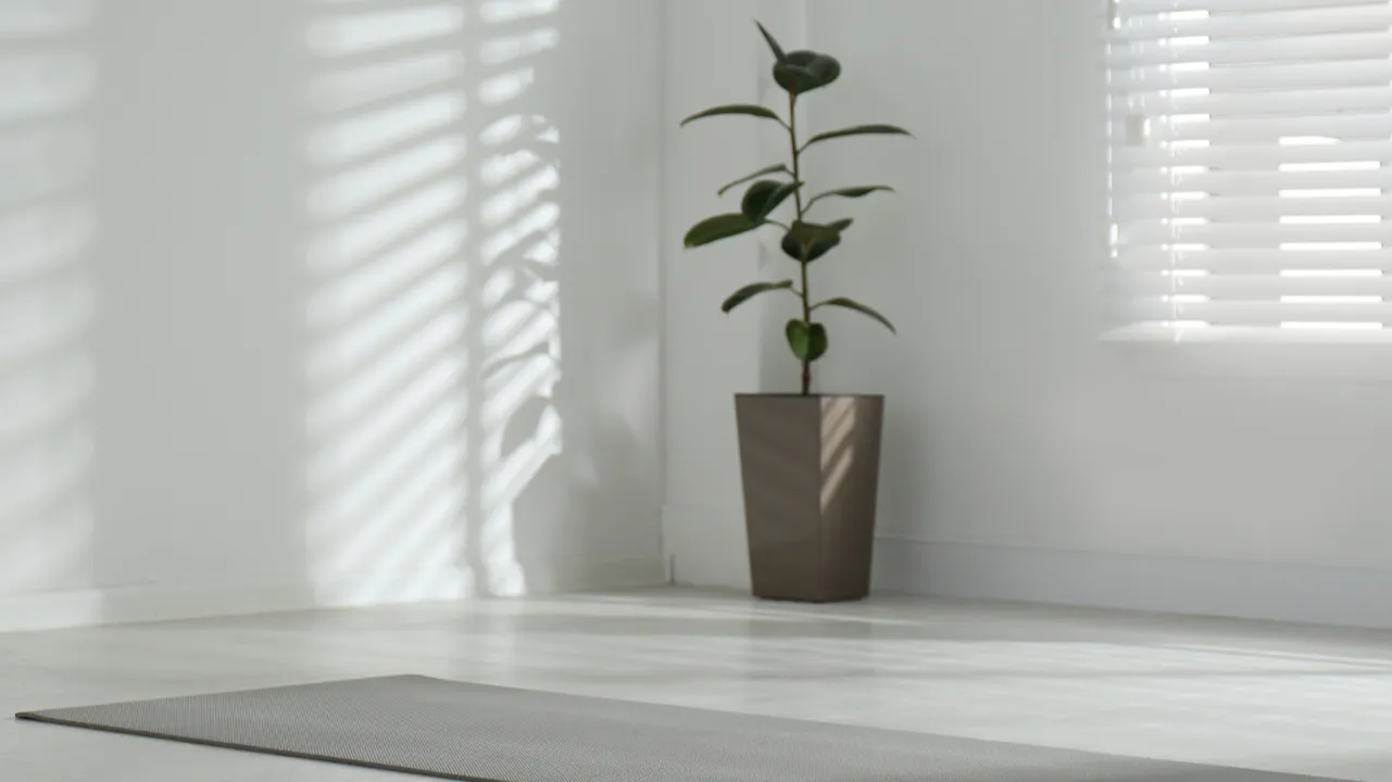 Unrolled grey yoga mat on floor in a room and a rubber plant placed on the corner.