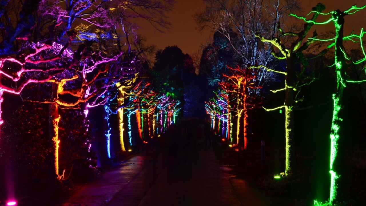 Lightshow iluminated Park Trees colorfull event grugapark Essen