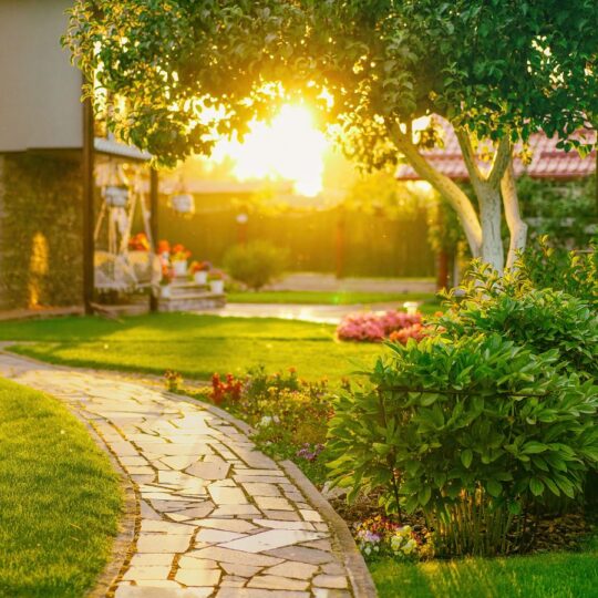 17 Chic Xeriscaping Hacks for a Drought-Proof Yard