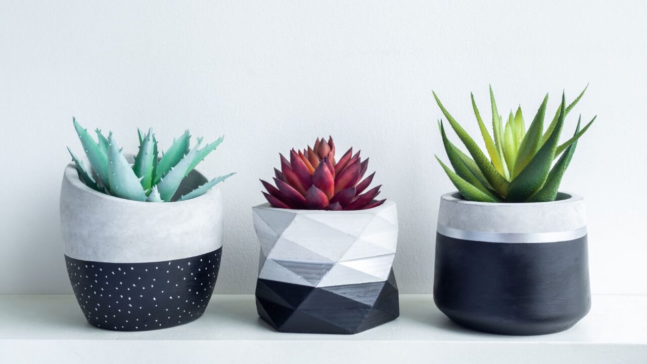 Geometric concrete planters on a white table in front of a white wall.