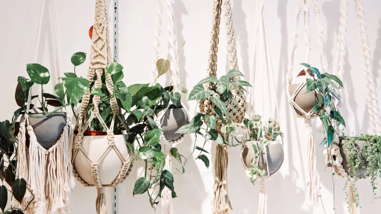 a row of hanging plants in bonehmian boho macrame plant