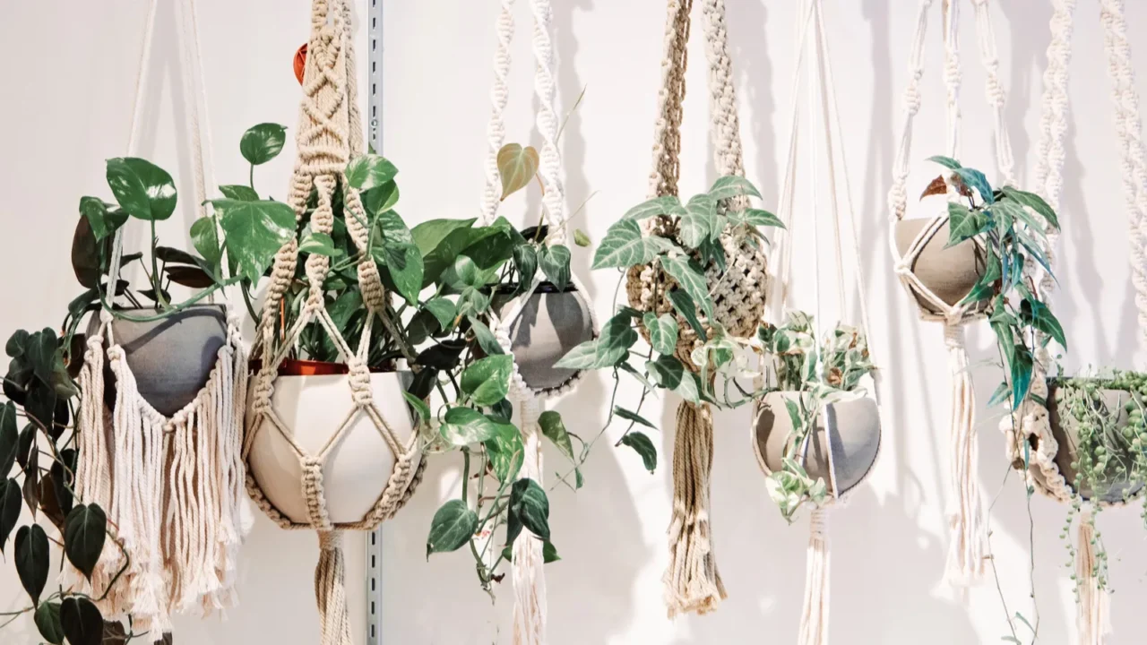 a row of hanging plants in bonehmian boho macrame plant