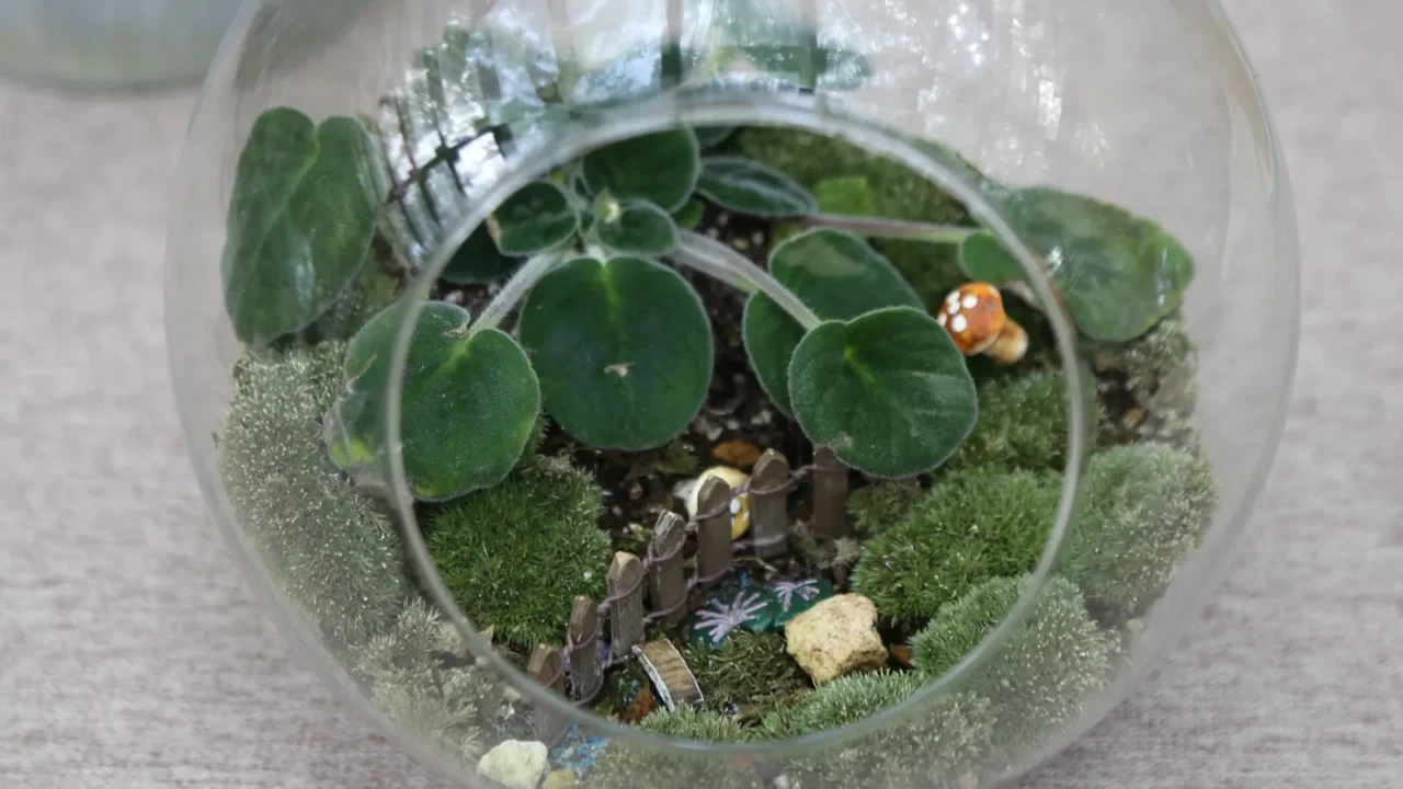 a small glass vase with moss and a plant inside