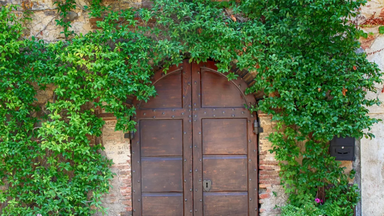 beautiful old wooden door decorated with flowers italy