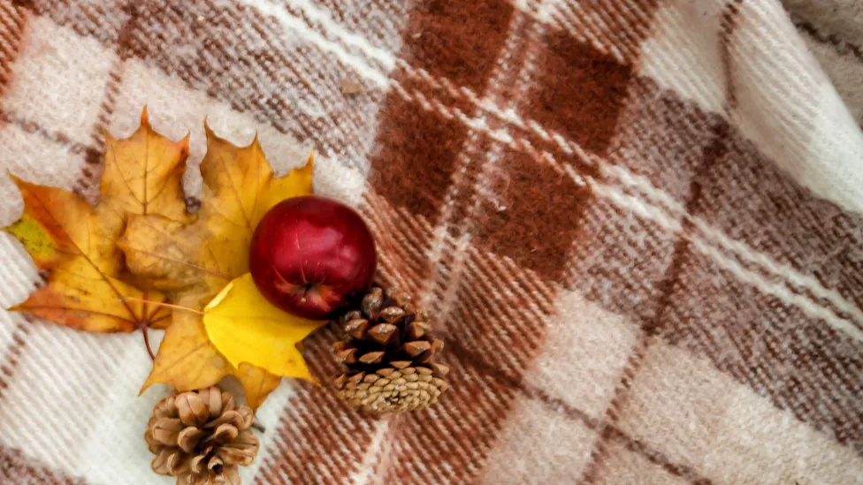 checkered brown plaid basket with apples cones and yellow autumn