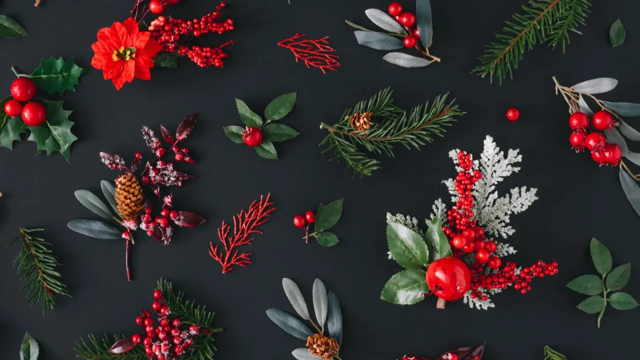 christmas dark background made of natural winter things