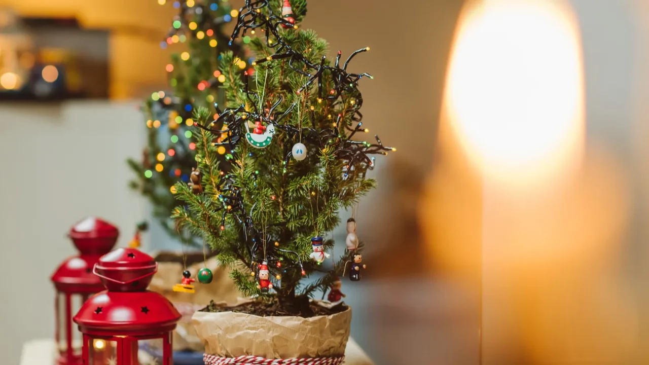 christmas tree with lights and lantern