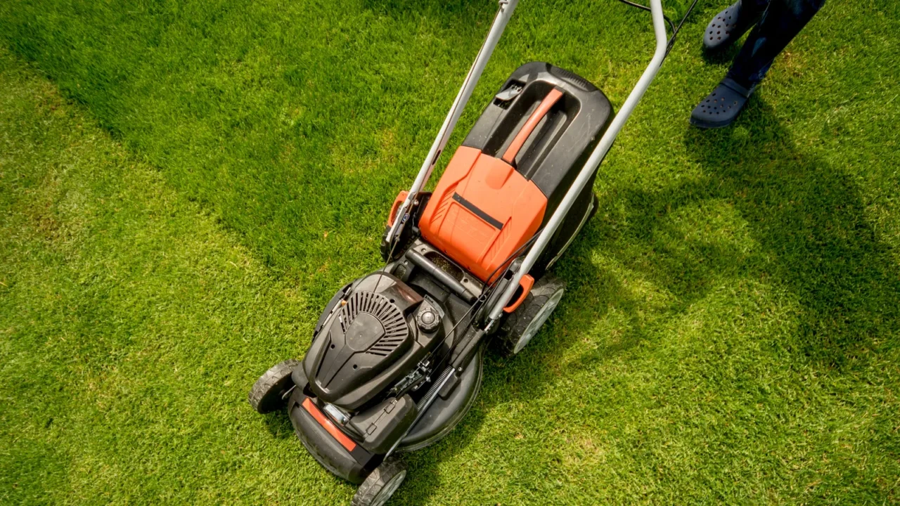 gardener mowing the lawn landscape design green grass background