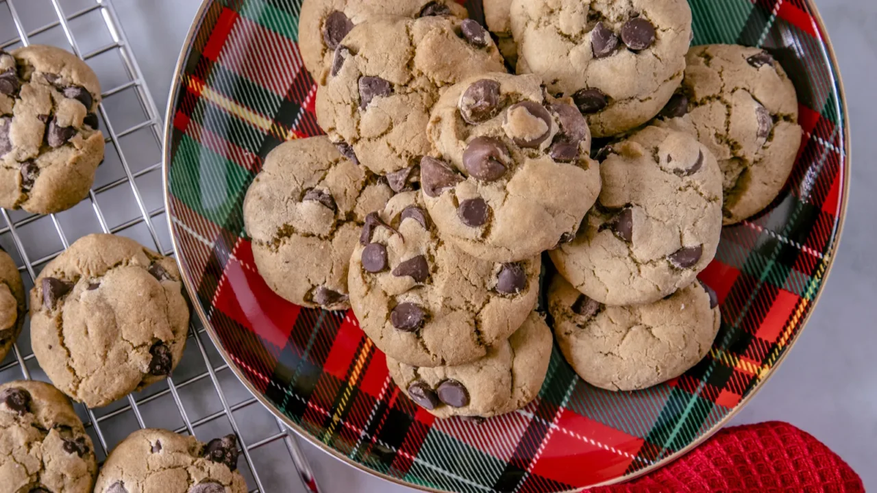 homemade double chocolate chip cookies