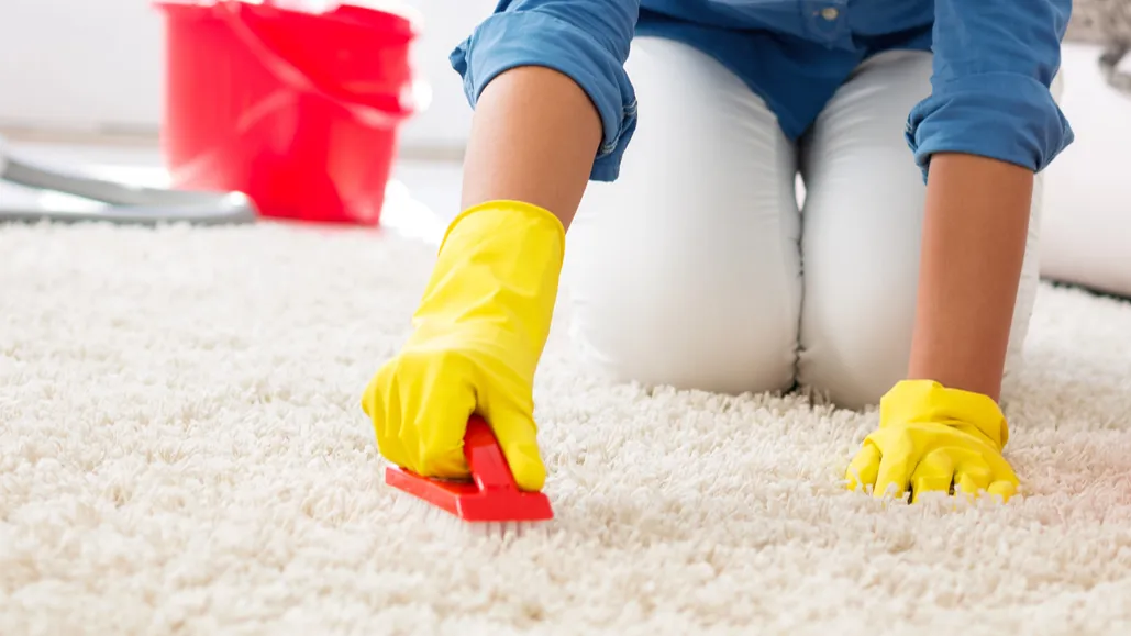 housewife cleaning carpet with brush and doing housework