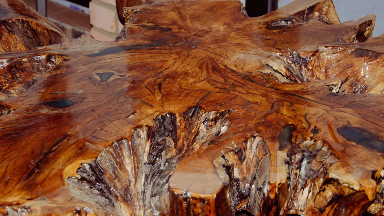 macro closeup wood after coating with epoxy resin process of