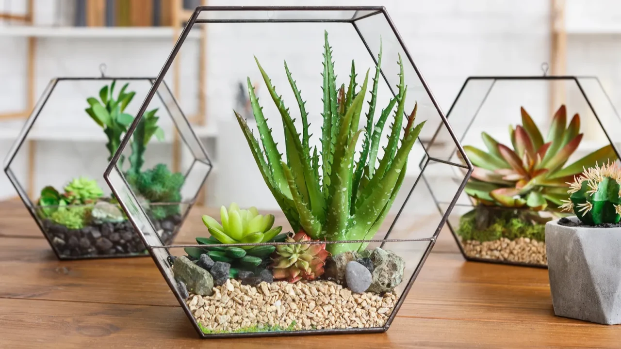 mini garden in florarium botanical home decor concept