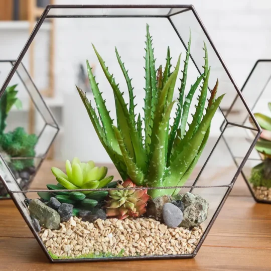 Terrariums That Make Coffee Tables a Focal Point