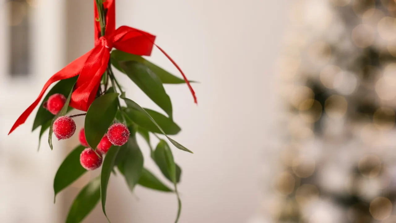 mistletoe bunch with red bow hanging indoors space for text