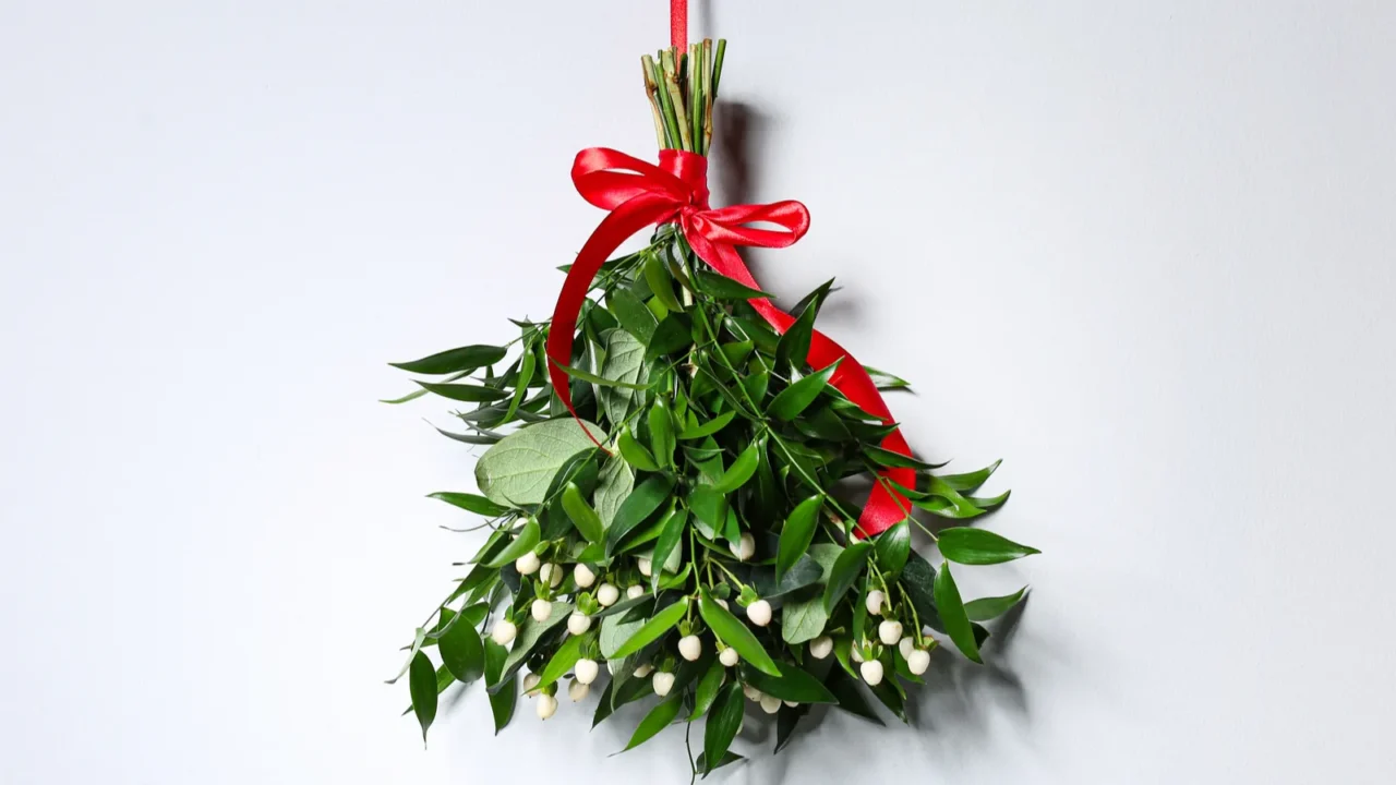 mistletoe bunch with red bow hanging on light wall traditional