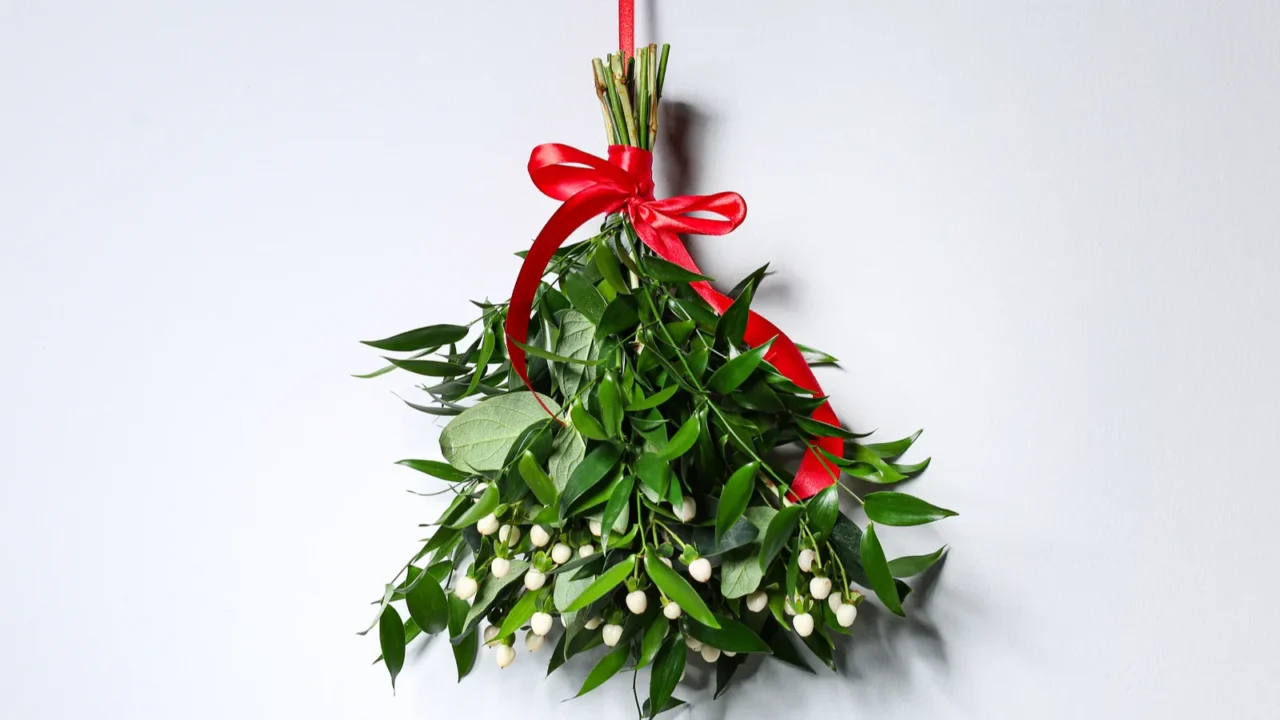 mistletoe bunch with red bow hanging on light wall traditional