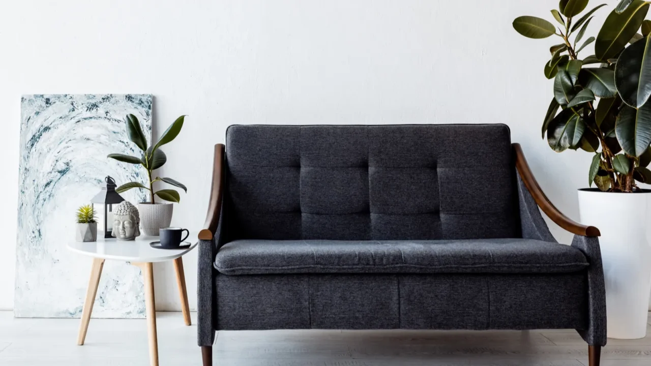 Modern sofa near coffee table with plants, vintage lamp, and a frame.