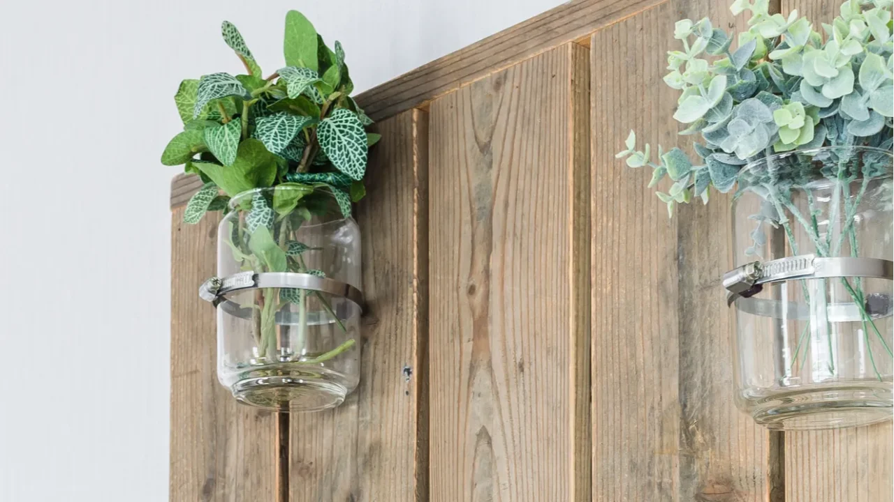 plants in glass on wood panel