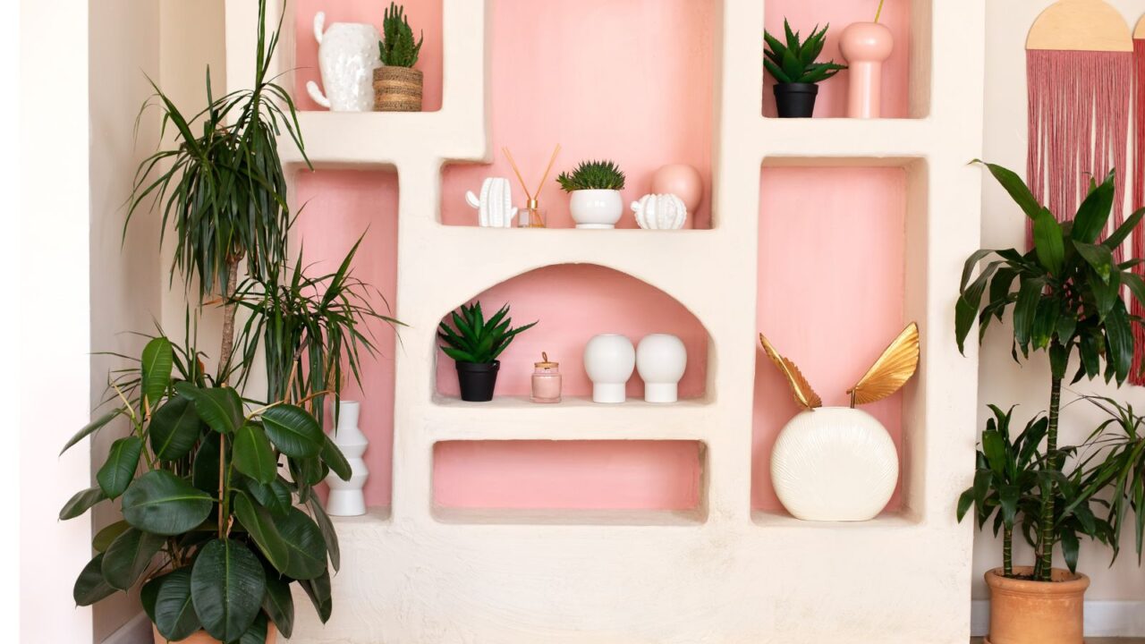 Stylish interior of wabi sabi style living room with pink design shelf with home decoration and plants in pots. Modern home decor. Collection of cacti in pots on shelf. Green ficus in terracotta pot.