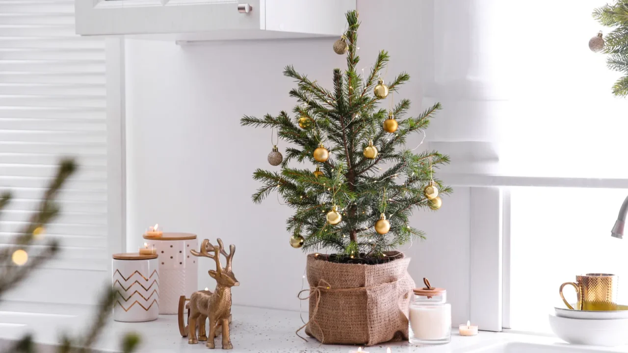 small christmas tree decorated with baubles and festive lights in