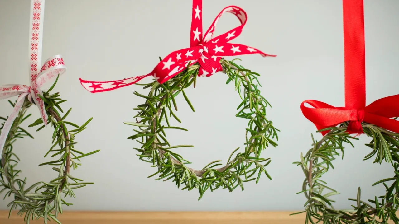 Three mini rosemary wreaths decorated with red ribbons.