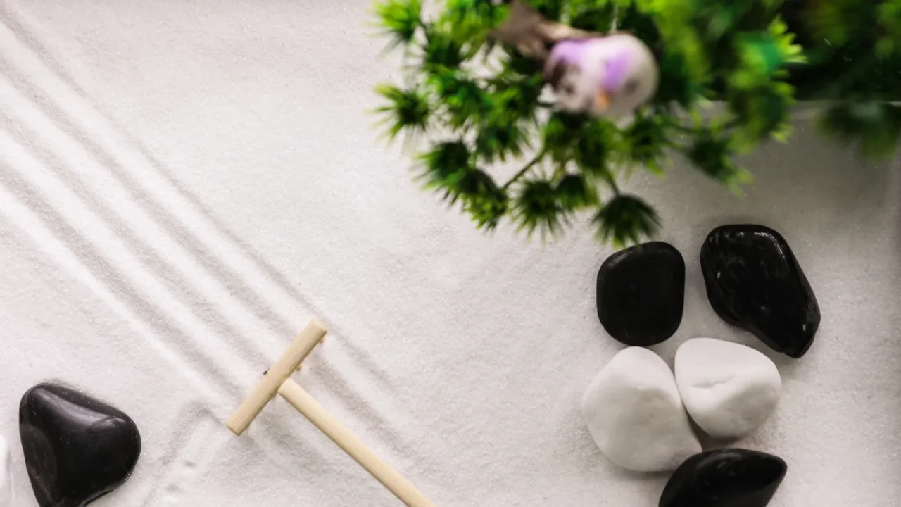 top view of beautiful miniature zen garden