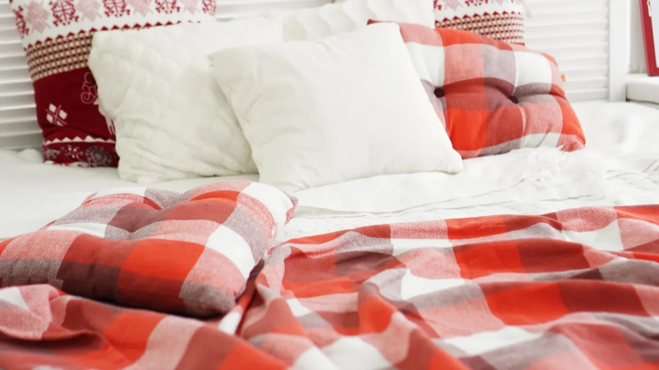 A cozy bed with plaid bedding and cushions.